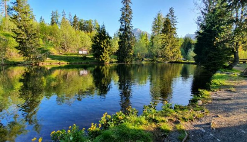 Hotel CROCUS **** Vysoké Tatry